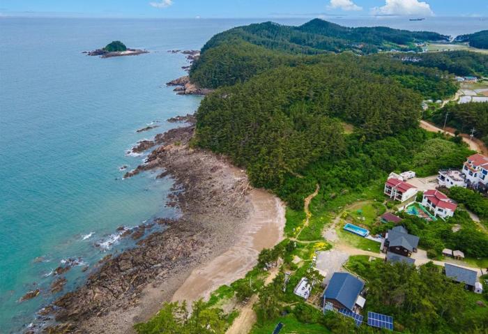 taean gun