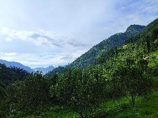 The Farm Cottages,Jibhi>>Banjār,5 star