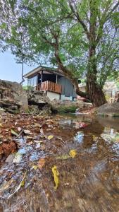 Inthanon Lao-Ju House,Thailand>>Ban Pong,2 star