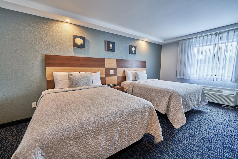 hyannis plaza hotel