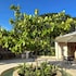 hotel tahiti