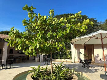 hotel tahiti