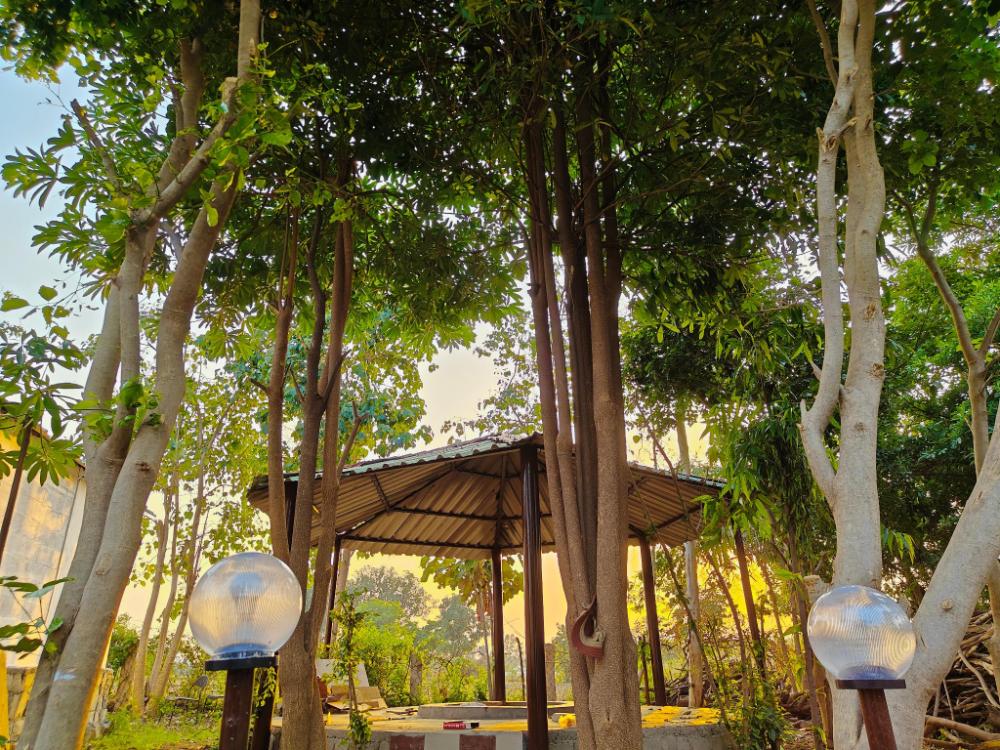 natures lap resort
