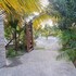 punta coco villas beach