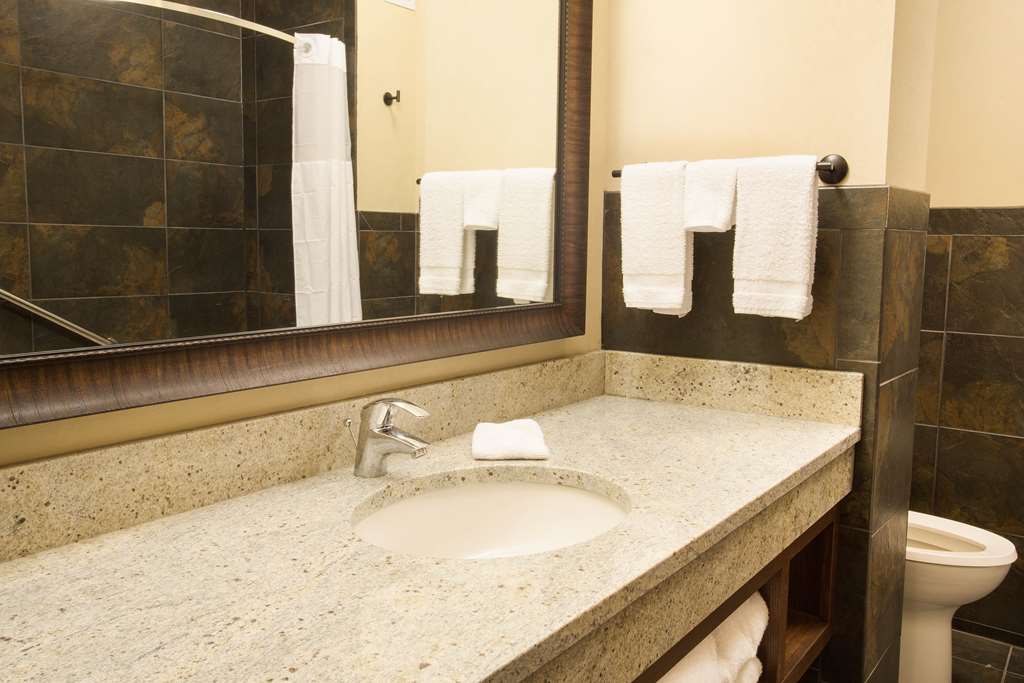 drury plaza hotel new orleans