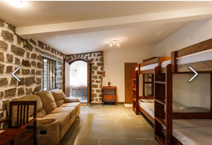 jungle stay by bilwa estate