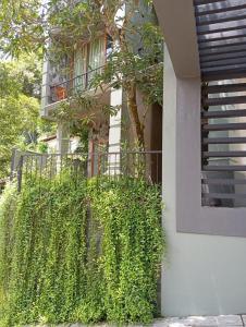 villa rumassala luxury chalets