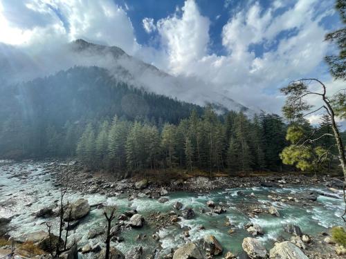 kasol