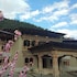 paro