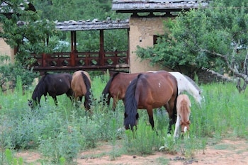 paro