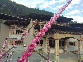 paro