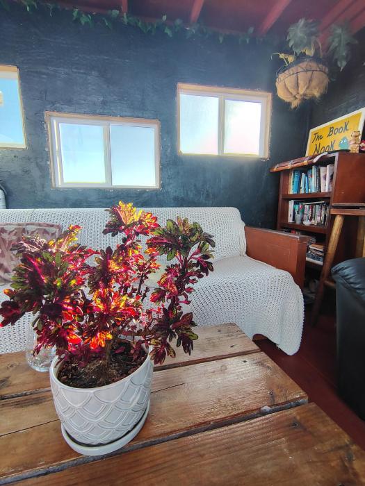 open gate hostel hawaii