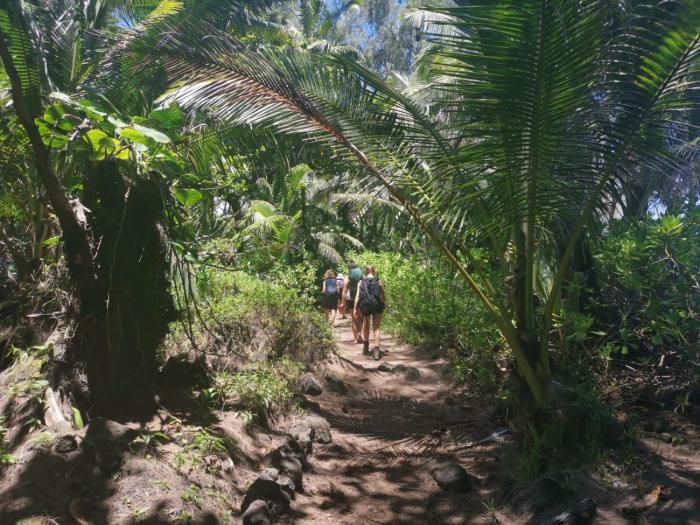 open gate hostel hawaii