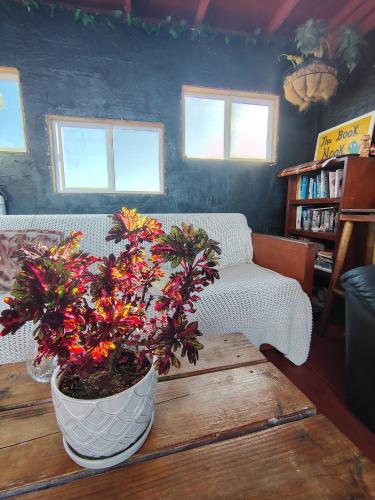 open gate hostel hawaii