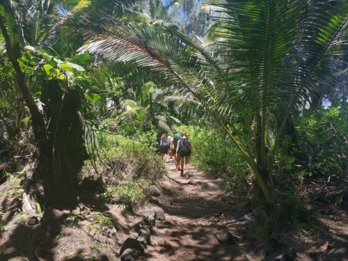 open gate hostel hawaii