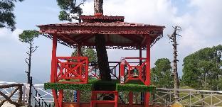 almora