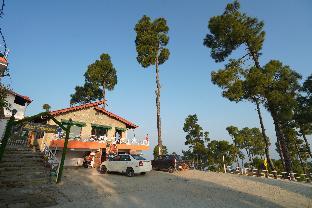 almora