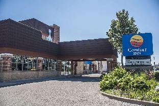 comfort inn lundys lane