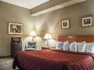 comfort inn lundys lane