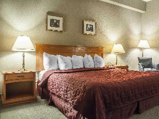 comfort inn lundys lane