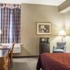 comfort inn lundys lane