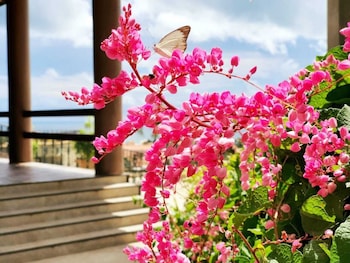 hotel santuario das aguias day spa