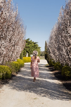 barossa shiraz estate