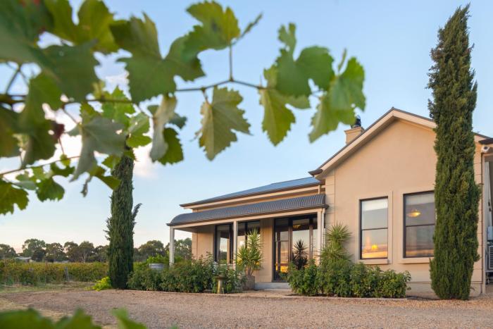 barossa shiraz estate