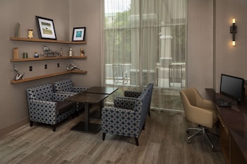 hampton inn and suites asheville biltmore village