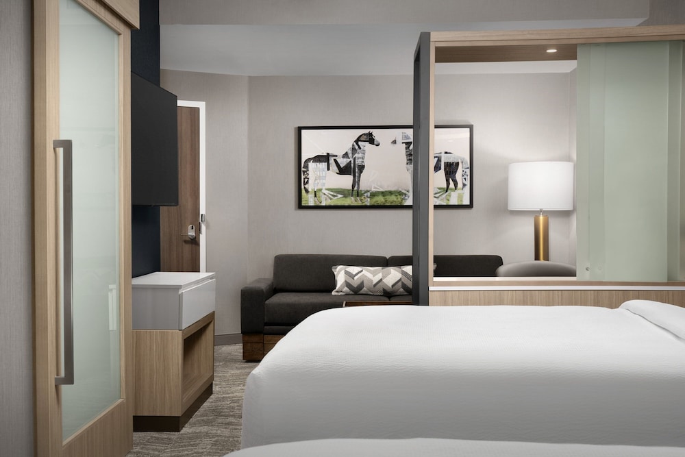 springhill suites by marriott lexington south