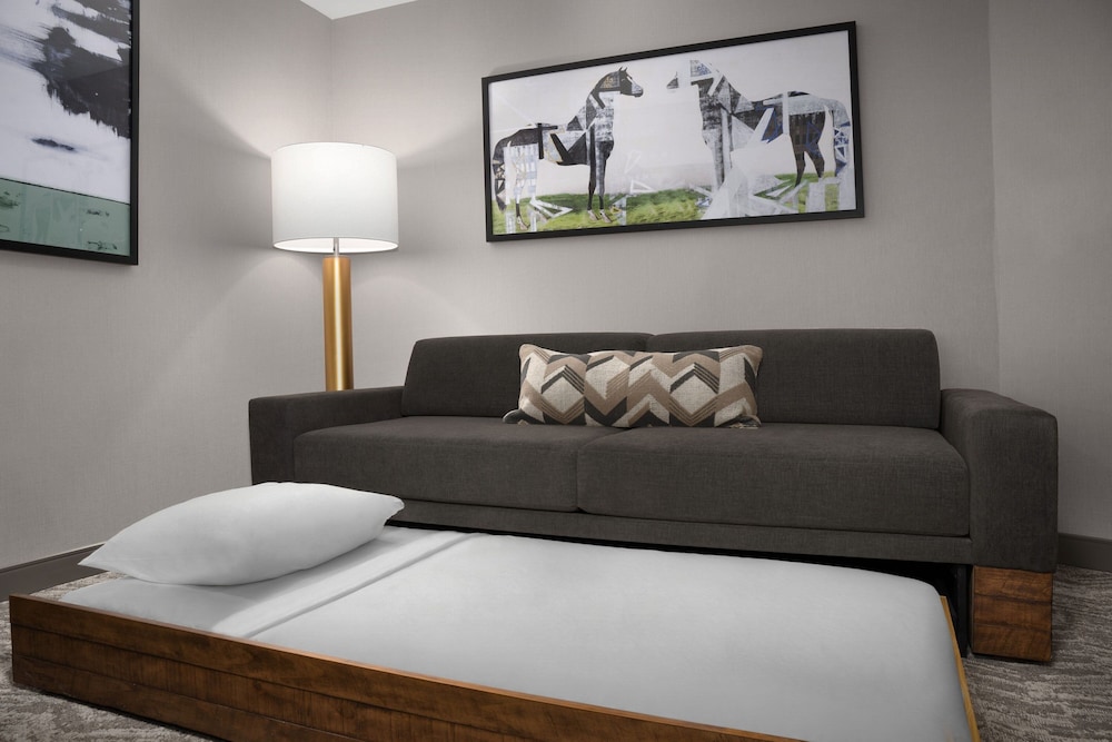 springhill suites by marriott lexington south