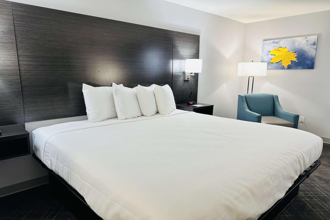 surestay plus by best western st james donaldsonville