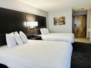 surestay plus by best western st james donaldsonville