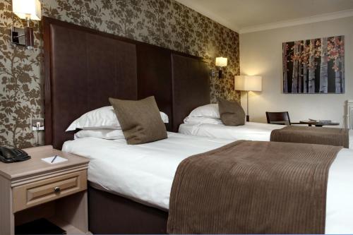 ivy hill hotel sure hotel collection by best western