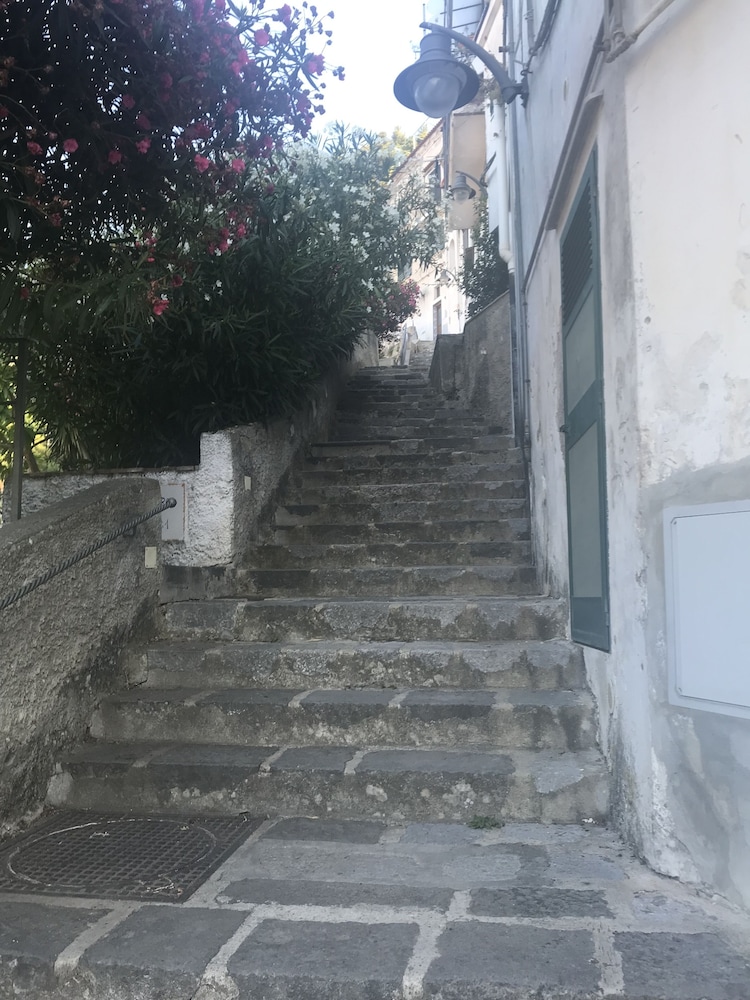 maiori