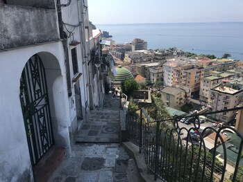 maiori