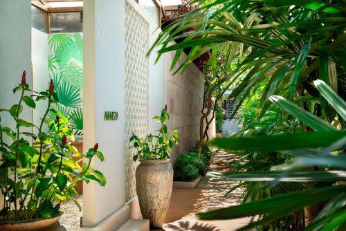 avani samui resort