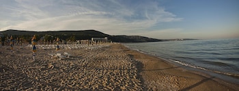 albena