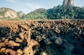 krabi