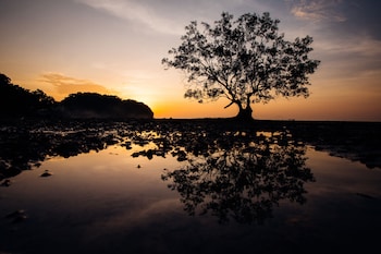 krabi