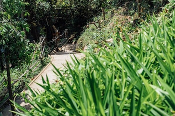krabi