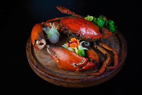 o hotel goa candolim beach