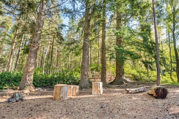 hilton grand vacations club craigendarroch suites scotland