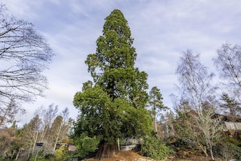 hilton grand vacations club craigendarroch suites scotland