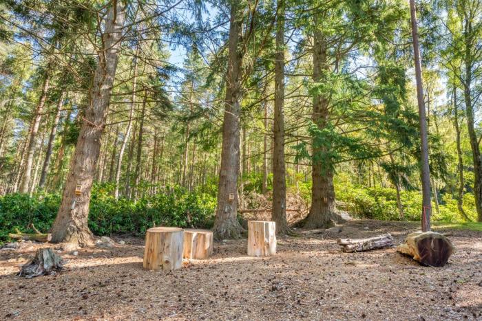 hilton grand vacations club craigendarroch suites scotland