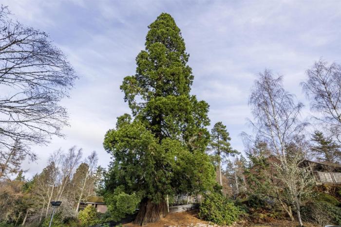 hilton grand vacations club craigendarroch suites scotland