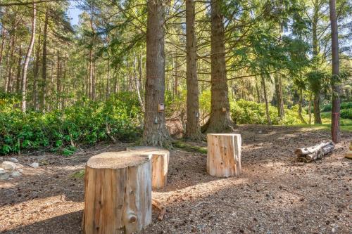 hilton grand vacations club craigendarroch suites scotland