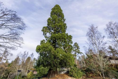 hilton grand vacations club craigendarroch suites scotland