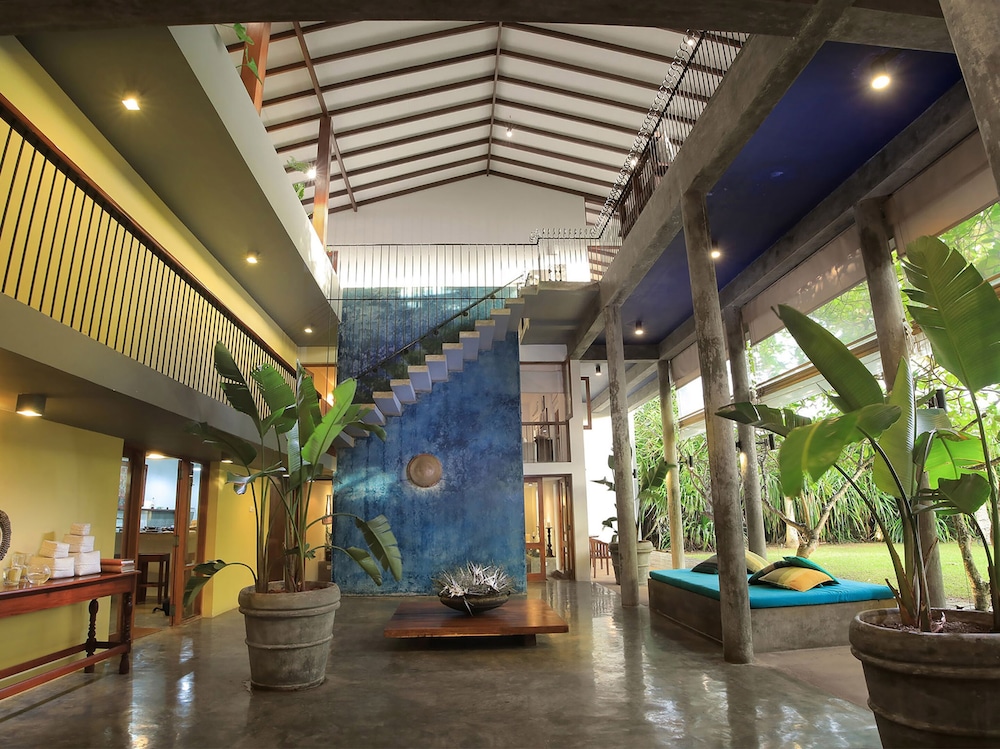 saffron and blue by elite havens