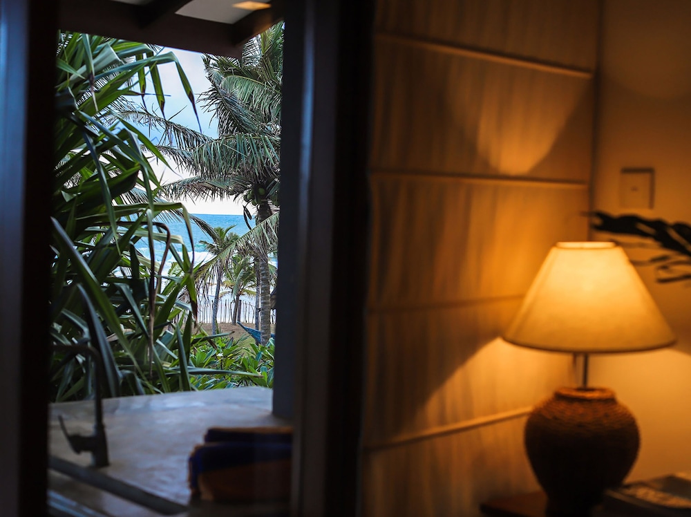 saffron and blue by elite havens